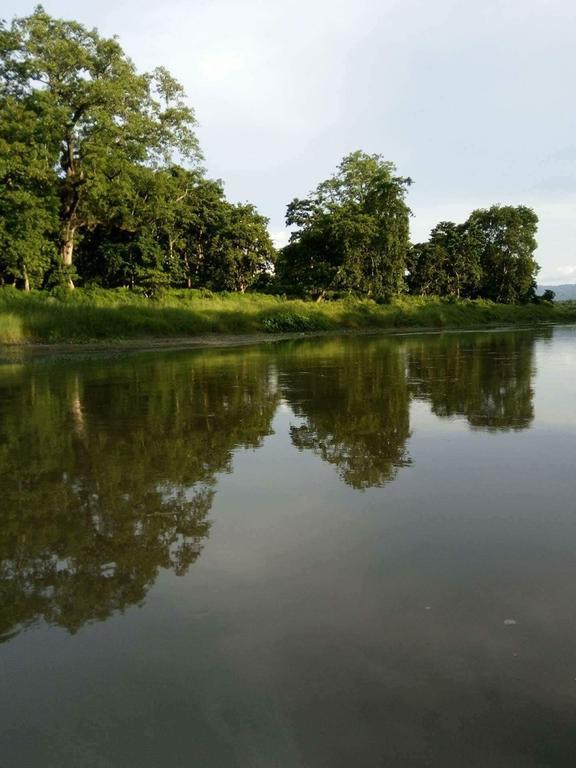 Unique Wild Resort Sauraha Eksteriør billede