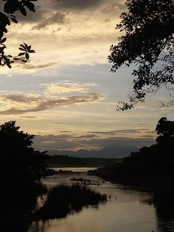 Unique Wild Resort Sauraha Eksteriør billede