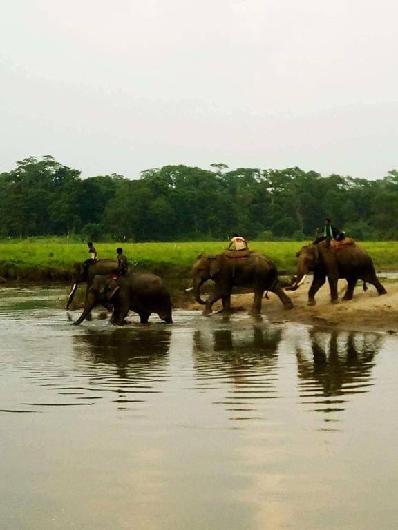 Unique Wild Resort Sauraha Eksteriør billede