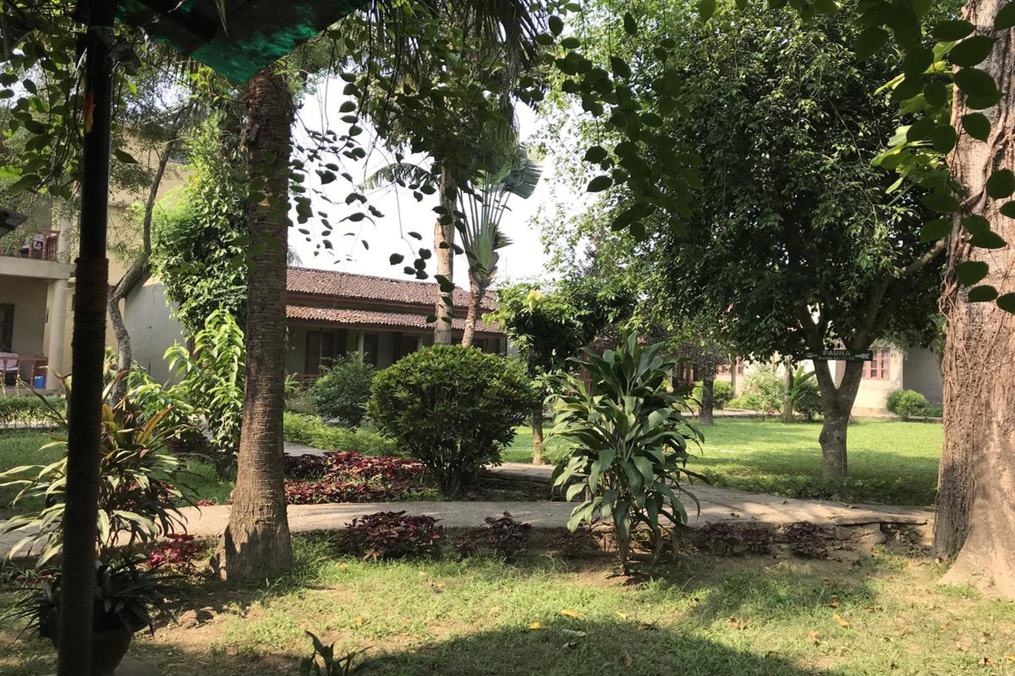 Unique Wild Resort Sauraha Eksteriør billede