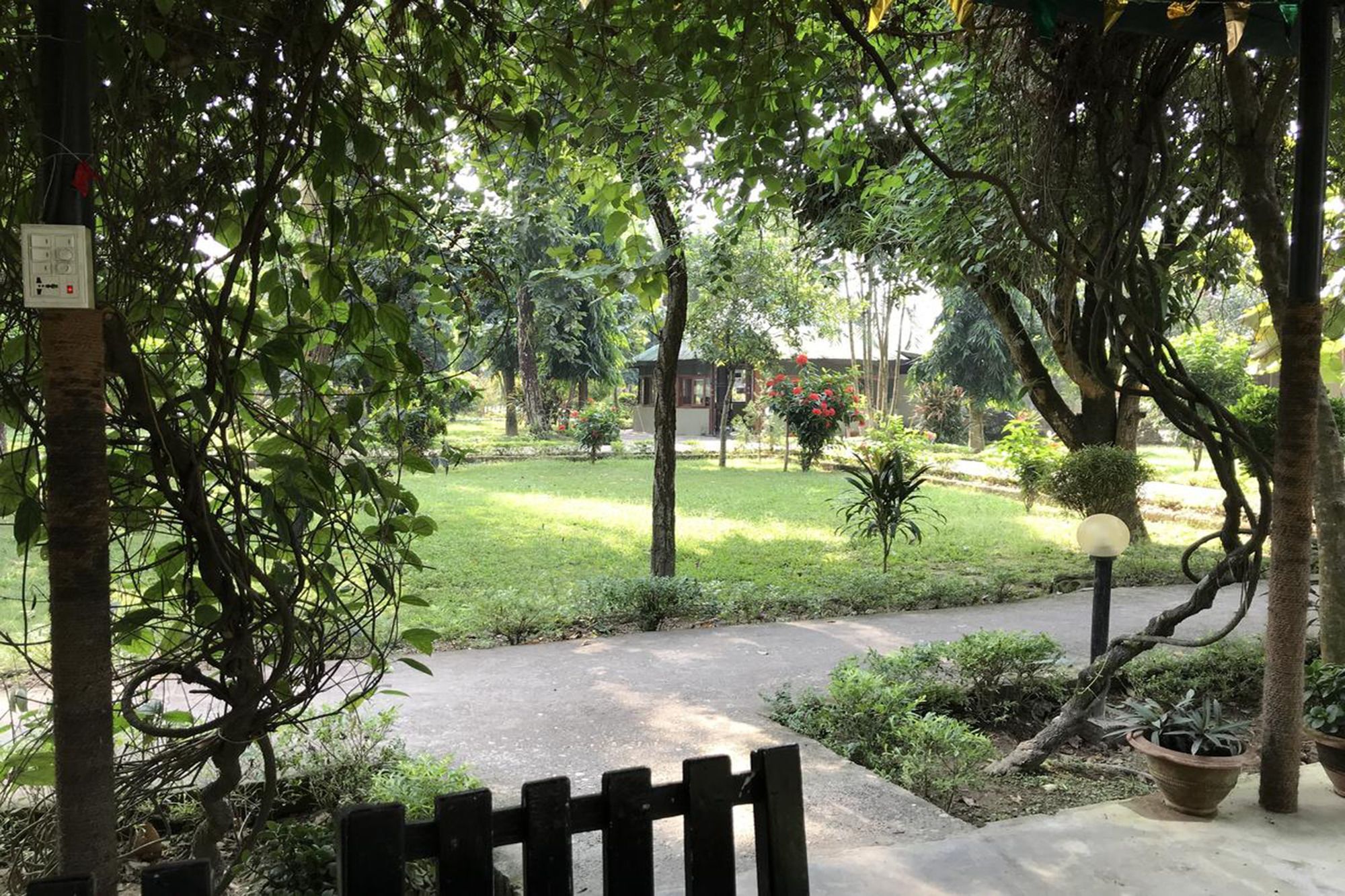 Unique Wild Resort Sauraha Eksteriør billede