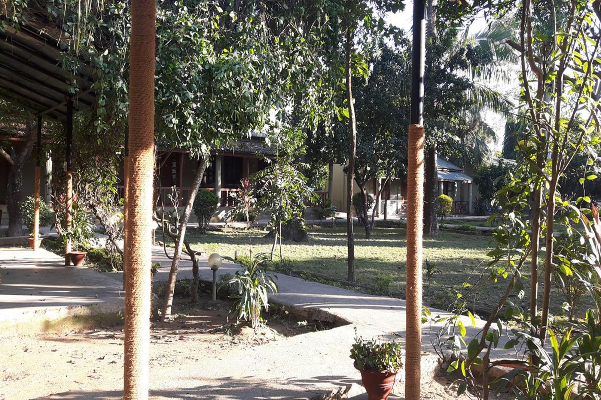 Unique Wild Resort Sauraha Eksteriør billede
