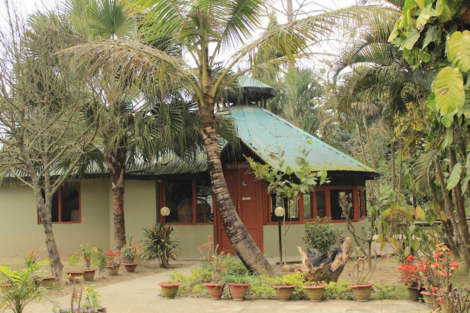 Unique Wild Resort Sauraha Eksteriør billede