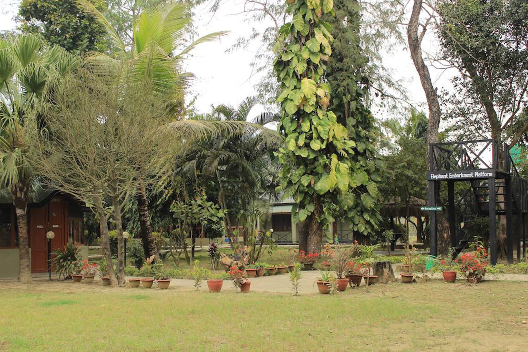 Unique Wild Resort Sauraha Eksteriør billede